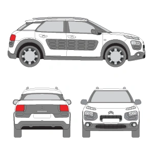 C4 CACTUS